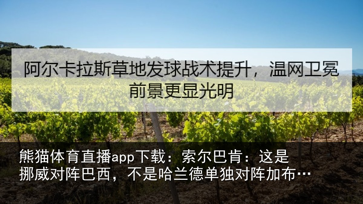熊猫体育直播app下载：索尔巴肯：这是挪威对阵巴西，不是哈兰德单独对阵加布里埃尔
