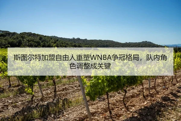 斯图尔特加盟自由人重塑WNBA争冠格局，队内角色调整成关键