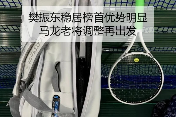樊振东稳居榜首优势明显 马龙老将调整再出发